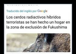 Enlace a Todo ha acabado bien para los cerdos radiactivos terroristas