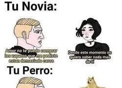 Enlace a Fidelidad absoluta