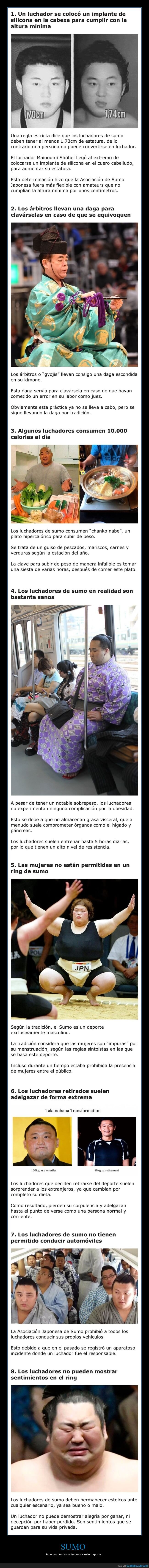 sumo,curiosidades