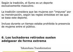 Enlace a Curiosidades sobre las estricta vida de los luchadores de sumo