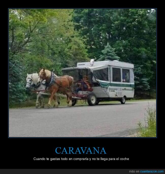 caravana,cavallos,wtf