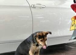 Enlace a Complicada elección