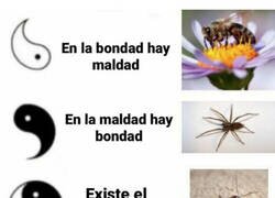 Enlace a ¿Y nadie va a decir nada de los mosquitos?