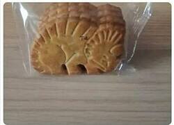 Enlace a Más raro que un perro verde