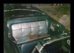 Enlace a Esta foto me pone los pelos de punta