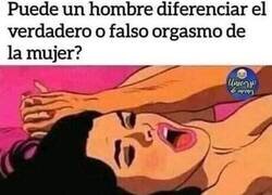 Enlace a Apenas distingo entre lila y morado