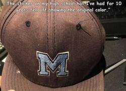 Enlace a Cerdo, haberla lavado algun año