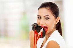 Enlace a Creo que paso