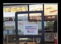 Enlace a ¿Y ahora qué?