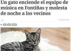 Enlace a Ya verás tú cómo la lío