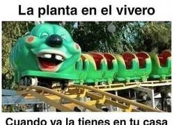 Enlace a Más difícil cuidar una planta que a un niño