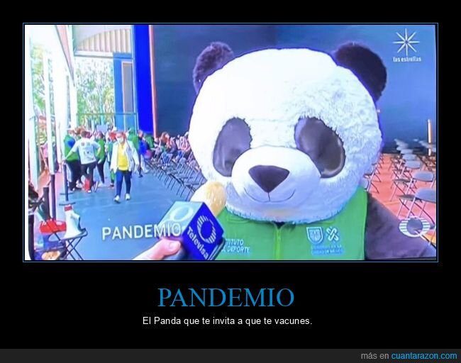 panda,Covid-19,pandemia