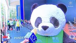 Enlace a Fan totalmente de esta iniciativa mexicana