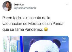 Enlace a Todos adoran a Pandemio