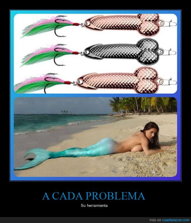 cebo,sirena,pescar