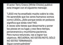 Enlace a Lo que Lego enseñó a Terry Crews