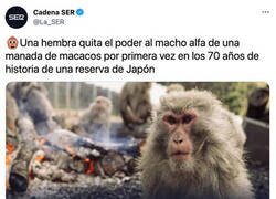 Enlace a El ministerio de igualdad empieza a dar sus frutos