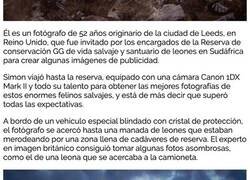 Enlace a El fotógrafo Simon Needham ha capturado esta impresionante fotografía de un león sobre una pila de huesos