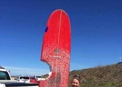 Enlace a Por suerte todo quedó en un susto