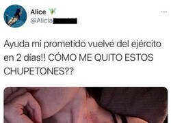 Enlace a Siempre hay alguien en internet con ganas de ayudar