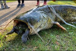 Enlace a Esto no se pesca todos los días...