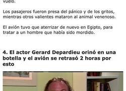 Enlace a Razones muy locas por las que un avión tuvo que hacer un aterrizaje de emergencia