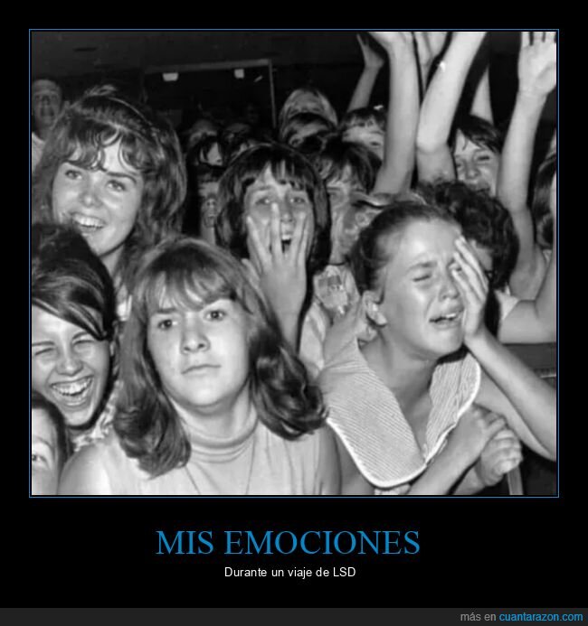 emociones,lsd