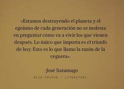 Enlace a La razón de la ceguera