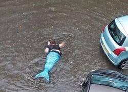 Enlace a Madre mía Ariel...