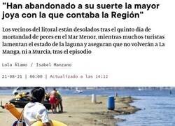 Enlace a Una verdadera lástima