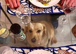 Enlace a Comiendo con vistas