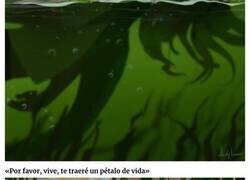 Enlace a La historia de la sirena verde que despertará tus sentimientos