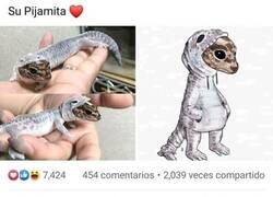 Enlace a Hay preguntas que es mejor no hacer...