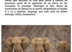 Enlace a Datos bastante locos que te van a demostrar que nunca es tarde para aprender 