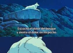 Enlace a El dolor del bosque