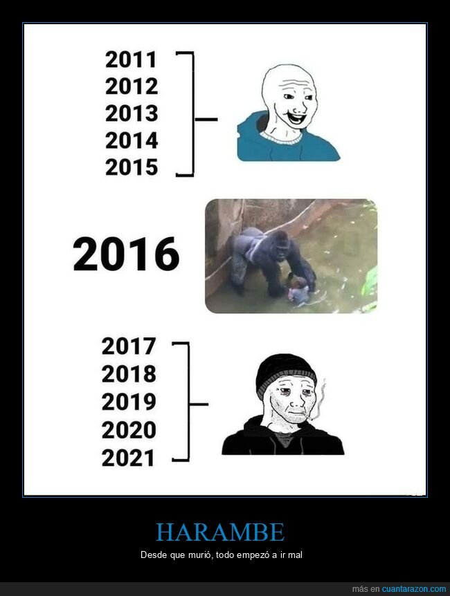 harambe,gorila,niño,morir