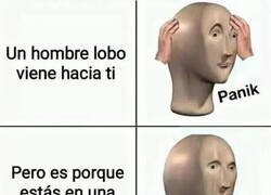Enlace a Pánico, calma y más pánico