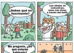 Enlace a El baile de las abejas