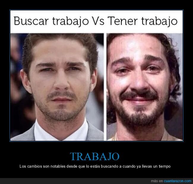 buscar,tener,trabajo,shia labeouf