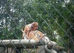 Enlace a Sin miedo a nada