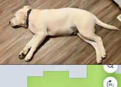 Enlace a Es su sitio