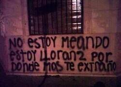 Enlace a Hermoso...