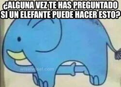 Enlace a La respuesta que estabas esperando