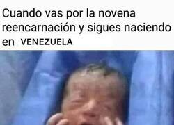 Enlace a Caprichos del destino