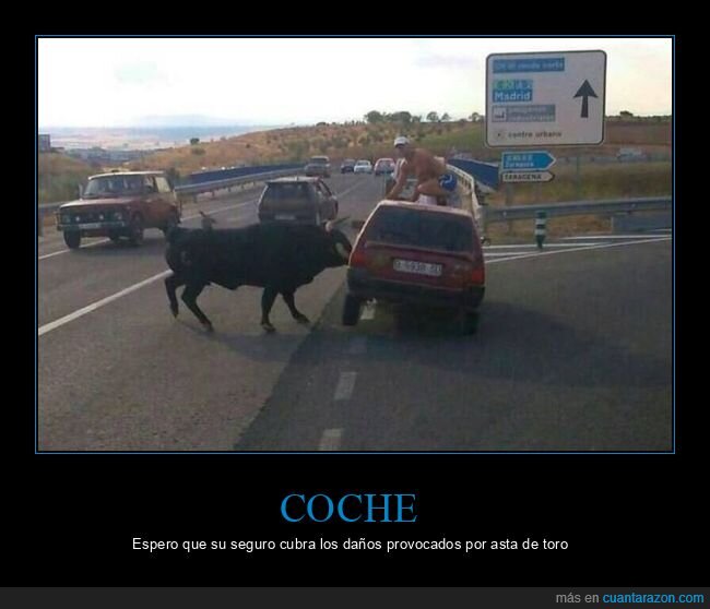 coche,toro,wtf