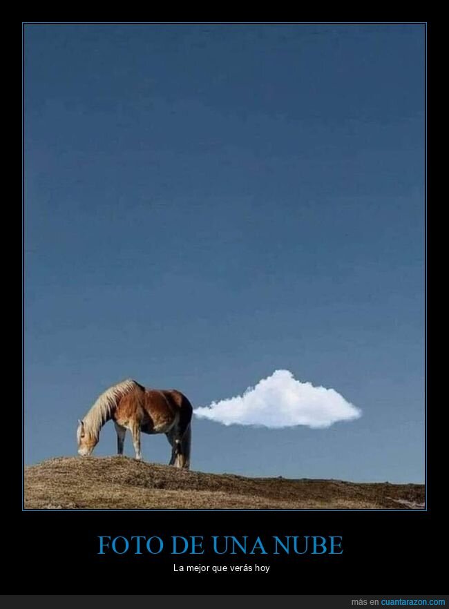 foto,nube,caballo