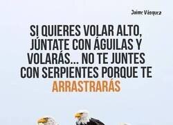 Enlace a Quien a buen árbol se arrima...