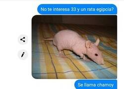 Enlace a El negociador