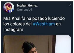 Enlace a Una total desconocida