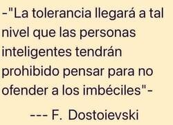 Enlace a La tolerancia se nos va de las manos
